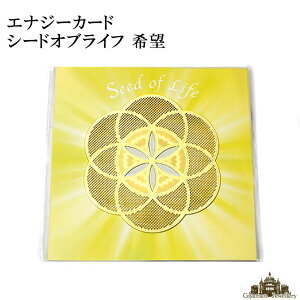 yzGiW[J[h V[hIuCt ] Kiy_  w J[h GlM[ 肢 Zbg   Ӗ VR   J^  uXbg CeA q[