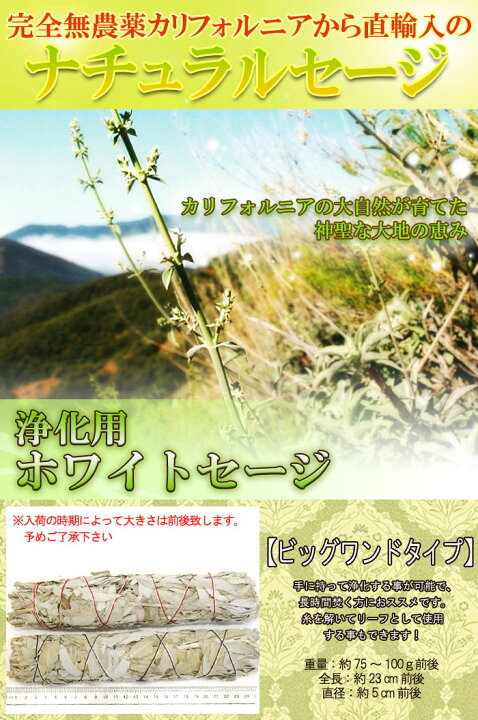 楽天市場 無農薬 高品質 浄化用 ホワイトセージ ビックワンドタイプ 約75 100g ホワイトセージ 浄化用 スマッジング ハーブ カリフォルニア さざれ アロマ 通販 お香 乾燥 浄化 効果 花 苗 ホワイトセージとは ポイント消化 テレワーク 在宅 Giyaman Jewellery