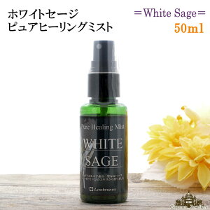 yΉixƓzzCgZ[W~Xg 50mlX}bWO~Xg 򉻃Xv[yv ~Xg 򉻗p X}bWO n[u  A}   zCgZ[W Ƃ 