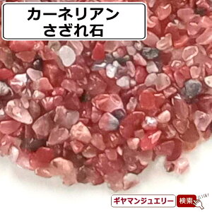  VR J[lA }_KXJEAtJY AN 25g -y p[Xg[  򉻗p      W ISiC 