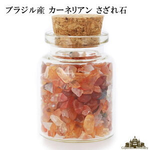  VR KX̏ruWY J[lA 25g A-2A ɏ-y   򉻗p  p[Xg[ TU  r[Y R ISiCg lC 