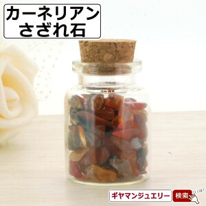  VR KX̏r J[lA uWY AN 23g -y   򉻗p  p[Xg[ TU  r[Y R ISiCg lC