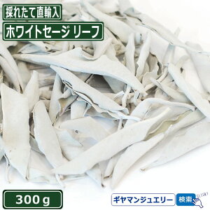 【送料無料】【無農薬 直輸入】ホワイトセージ リーフ 300g【枝なし】【ホワイト セージ 浄化用 スマッジング ハーブ カリフォルニア さざれ アロマ 通販 お香 乾燥 浄化 効果 花 苗 ホワイトセージ ポイント消化 テレワーク 在宅】