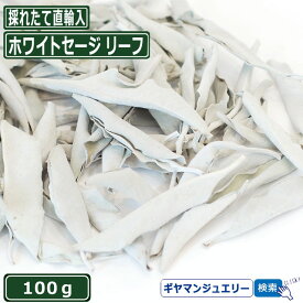 【送料無料】【無農薬 直輸入】ホワイト セージ リーフ 100g【枝なし】【ホワイトセージ 浄化用 スマッジング ハーブ カリフォルニア さざれ アロマ 通販 お香 乾燥 浄化 効果 花 苗 ポイント消化 テレワーク 在宅】