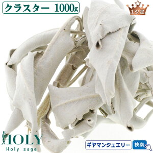 _S_ ̂ꂽ Z[W^yzzCgZ[W NX^[ 1kg 1cy}tzyzCgZ[W 򉻗p zCgZ[W  zCgZ[W _ zCgZ[W p[X