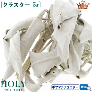 _S_ ̂ꂽ Z[W^yzzCgZ[W NX^[ 5g 1cy}tzyzCgZ[W 򉻗p zCgZ[W  zCgZ[W _ zCgZ[W p[X