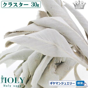 VNȍ̃Z[WAyΉixƓ͏z_S_ ̂ꂽăZ[W^yzzCgZ[W NX^[ 30g 2cy}tzyzCgZ[W 򉻗p zCgZ