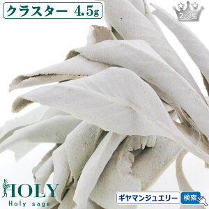 VNȍ̃Z[WA_S_ ̂ꂽăZ[W^yzzCgZ[W NX^[ 4.5g 2cy}tzyzCgZ[W 򉻗p zCgZ[W  zCgZ[W _