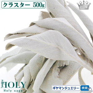 VNȍ̃Z[WA_S_ ̂ꂽăZ[W^yzzCgZ[W NX^[ 500g 2cy}tzyzCgZ[W 򉻗p zCgZ[W  zCgZ[W _