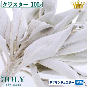 _S_ ̂ꂽ Z[W^yzyS_ zzCgZ[W NX^[ 100g 3cy}tzyzCgZ[W 򉻗p zCgZ[W  zCgZ[W _ zC