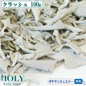 VNȍ̃Z[WA_S_ ̂ꂽ Z[W^yzyS_ zzCgZ[W NbV 100gy}ȂzyzCgZ[W 򉻗p zCgZ[W  zCgZ