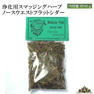 򉻗p tbgV_[ 40gyX}bWO p[Xg[ VR t VR    Z[W ZCW A}  bNX XgX  v[g Mtg |Cgz