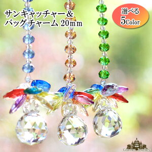 yzTLb`[ obN`[ S 21cm 2cmʁyp[Xg[ ANZT[     r[Y vY ̌ NX^ KX  CeA v[