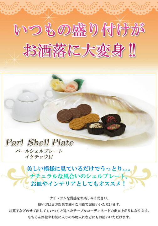 楽天市場 送料無料 シェルプレート イケチョウ貝 大皿タイプ 天然素材のお皿 キッチン シェル 貝殻 お皿 サラダ皿 カフェ食器角皿 白い食器 トレー 洋食器 デザート皿 フルーツ皿 ポイント消化 プレゼント Giyaman Jewellery
