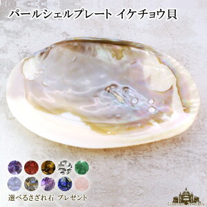 yΉixƓ͏zp[VFv[g CP`EL 򉻗p̂M 10gtyVR L Lk 򉻗p  X}bWO n[u JtHjA zCgZ[W C