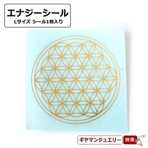 GiW[V[ t[IuCt LTCY 1y_ 􉽊w J[h GlM[ 肢 Zbg VR   J^  uXbg CeA q[O u  v[g 