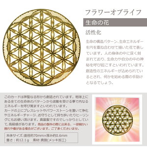 楽天市場 送料無料 エナジーカード フラワーオブライフ 活性化 神聖 幾何 学 カード エネルギー 占い セット 効果 種類 意味 天然石 浄化 癒し 開運 さざれ石 ブレスレット インテリア ヒーリング 置石 お守り プレゼント ポイント消化 Giyaman Jewellery
