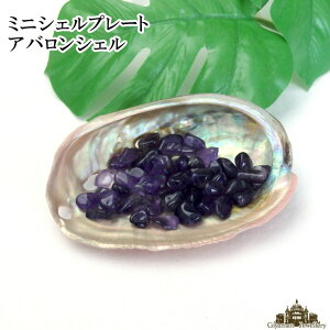 ~jVFv[g AoVF yVR L Lk ^ p[ 򉻗p  X}bWO n[u JtHjA zCgZ[W CeA u M  Mtg  A}  