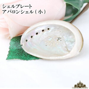 ~jVFv[g AoVFiɏj yVR L Lk ^ p[ 򉻗p  X}bWO n[u JtHjA zCgZ[W CeA u M  Mtg  A