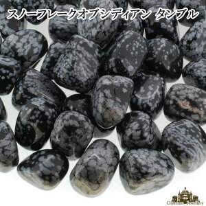  ^u^ VR Xm[t[NIuVfBA A 20gyp[Xg[ lC Xg[ p[c   uXbg  W ISiCg |Cgz