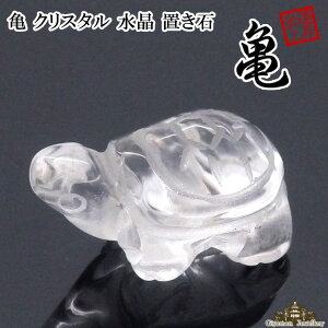 yzu VR NX^  T 15mm y   򉻗p    tbV CeA u v[g Mtg |Cg z