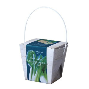 xWRei@~j`QTC@ƒ؉E؍ 