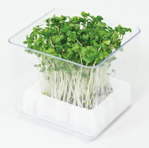 y|Cg4{zXvEg͔|Lbg@JC_CRičHj 