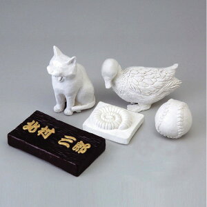 Sy 480g wt  lC g₷ ֗ ] r[