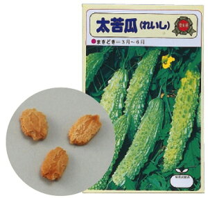 y10/30 |Cg4{z؂̎ cCViZjƒ؉ ؍ _Ƒ̌  lC g₷ ֗ ] r[