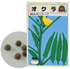 y10/30 |Cg4{z؂̎ IN ƒ؉ ؍ _Ƒ̌  lC g₷ ֗ ] r[