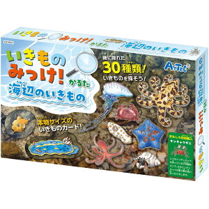 ݂̂邽 ׂ݂̂̂邽 C̐     J[hQ[ {[hQ[ e[uQ[ Q[  ~x qǂ c ct ۈ牀 w m