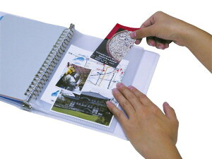 y10/30 |Cg4{z20܁i10gj  lC g₷ ֗ ] r[