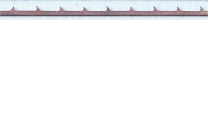 ̂n i12{j No2 24R   lC g₷ ֗ ] r[