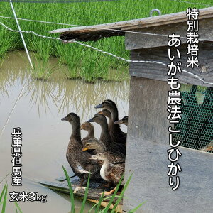 新米【7年産】あいがも米 3kg あいがも農法 兵庫県産 但馬産 こしひかり コシヒカリ 農薬不使用 無農薬 合鴨米 農家直送 当日精米 送料無料【特別栽培米あいがも農法こしひかり】玄米3kg