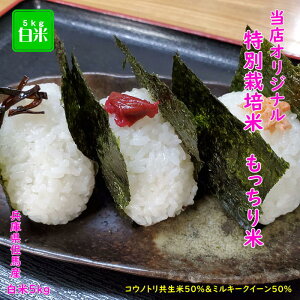 Vāy7NYzIWiuh  ʍ͔| REmgޔ_@  5kg   Ɍ AnY _  Ђ REmg ~L[NC[yʍ