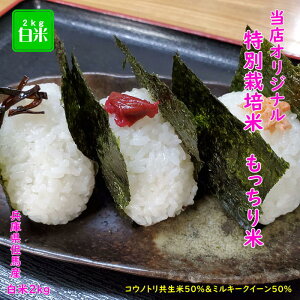 Vāy7NYzIWiuh  ʍ͔| REmgޔ_@  2kg   Ɍ AnY _  Ђ REmg ~L[NC[yʍ