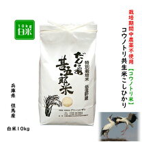 楽天市場】兵庫県産コシヒカリ10kg 送料無料の通販