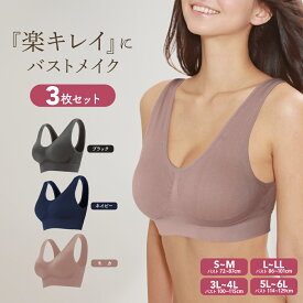 【50%OFF】ノンワイヤー ブラ ブラジャー ナイトブラ インナー ノンワイヤーブラ ノンワイヤーブラジャー セット 昼夜兼用 【エアーフィットブラ クラシックカラー 3枚組】 大きいサイズ 送料無料 バストアップ ブラック　モカ　ネイビー