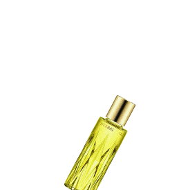 Albion アルビオン フレッシュ ルミナス ハーバルオイル 40ml/化粧用油