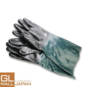 y10/28`10/31 SiP5{zThuXgO[u() ThuXgO[u() ThuXgLrlbgp / ThuX^[ Tr h KX