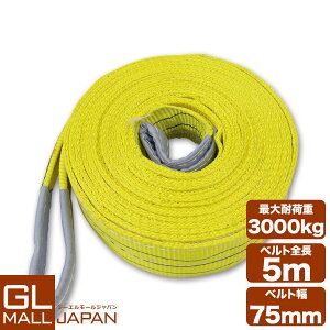 �y���������z�i�C�����X�����O�x���g �ω׏d3.0t×5m 1�{ / �ʊ|�� �ݏグ ���[�v ���� 3000kg 3T 5M �x���g�X�����O �X�����O�x���g �N���[�� �^�� ��5000mm×��75mm