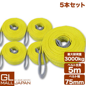 �y5�{�Z�b�g�z�y���������z�i�C�����X�����O�x���g �ω׏d3.0t×5m 5�{ / �ʊ|�� �ݏグ ���[�v ���� 3000kg 3T 5M �x���g�X�����O �X�����O�x���g �N���[�� �^�� ��5000mm×��75mm