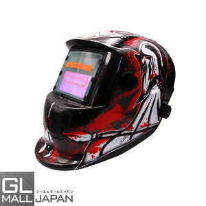 yubNtCf[ SiP10{zՌnږ 30 TIG MAG MIG A[NΉ / Ռx1/25000b \[[dr̗p