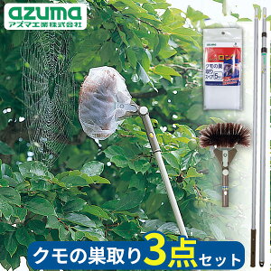 N̑肨|3_Zbg [A~LkEȂZbg] [N̑H ] [N̑XyA 5P] azuma w偂̑N[i[ w偂̑_ ĝăV[g OiLk y EȒP 