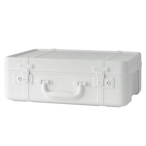 gN^ [{bNX STCY gNXg[[ TRUNK STORY }`fBXvC[ [{bNX t^t  vX`bN [P[X ^ X^bLO rO[ C