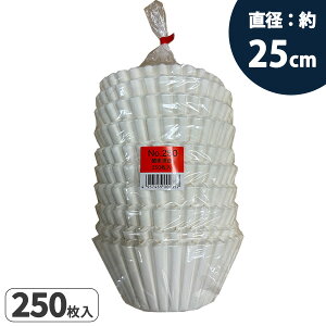 mƖp R[q[tB^[ 250 CF-NO250] a25cm R[q[  yfY }Vp hbv y[p[ tB^[ tB^[ V oXPbg ؍ރpv R[q[pi R[q[O