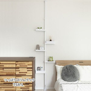 ς莮[[ς莮XbN TSR-L]˂ [  9cm̂Ԃ𗘗p  rO Lb` ʏ gC ubN zCg ϐ[ZLXC]yGlad Lifezy|C