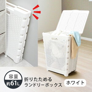 ܂ h[{bNX ^ 61L e [܂肽߂郉h[{bNX] t^t  ʋC悢 Gɋ ȒP RpNg 120848 120849 zCg O[ m