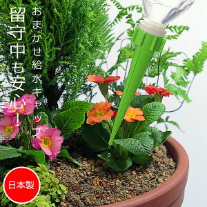 ܂zLbv5 [Y] {Y Jt ACfAi ACfAG тȂ ֗ObYy|Cg10{zyGlad Lifez