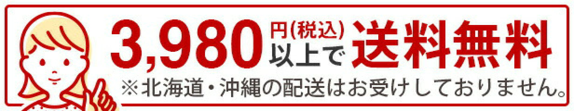 3980円以上送料無料
